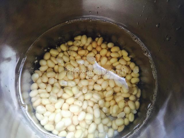 把泡好的黄豆倒入豆浆机内，加入1200ml清水。