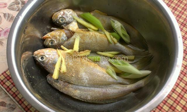 放盆里，放胡椒粉，料酒，盐，葱姜翻拌均匀腌制２０分钟