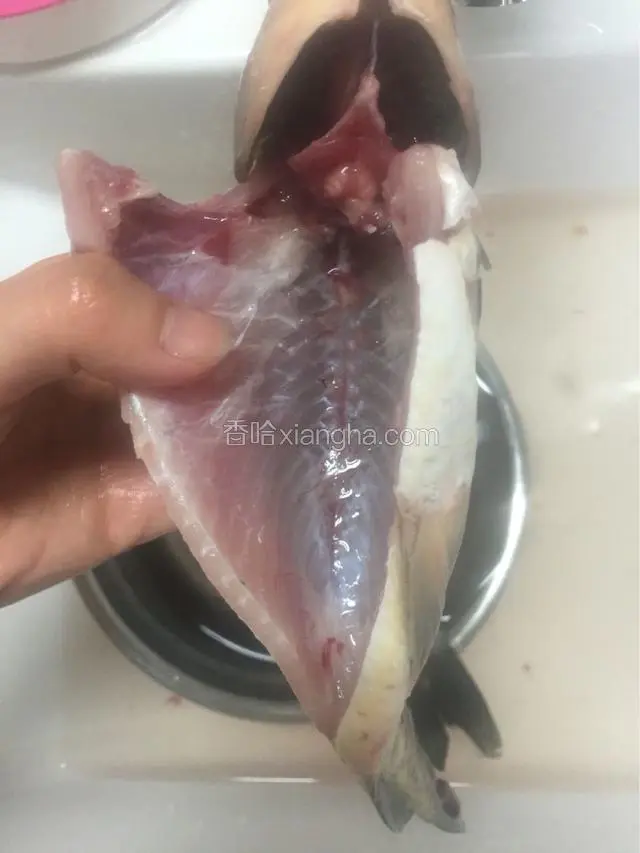 鲫鱼洗干净，里面的黑膜也要洗去