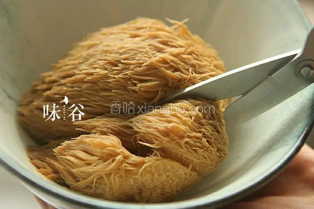 泡好的猴头菇用剪刀剪去蒂部硬硬的老根并剪成小块。