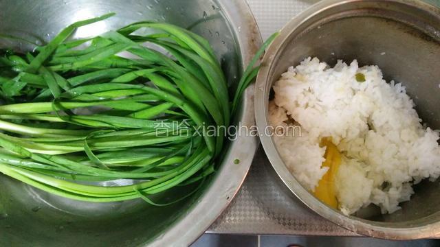 韭菜洗净，鸡蛋打入米饭