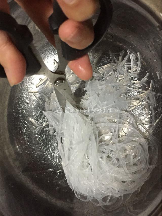 泡发好的粉丝用剪刀剪成短节