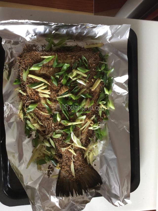 将粉质调料均匀涂抹在表面 烤盘上铺满葱姜后放鱼 鱼表面也铺满葱姜 