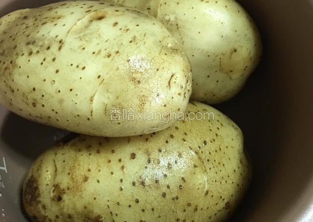 土豆洗净蒸熟
