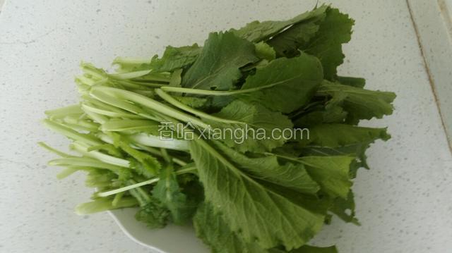 准备好所需食材：小白菜洗净控干。