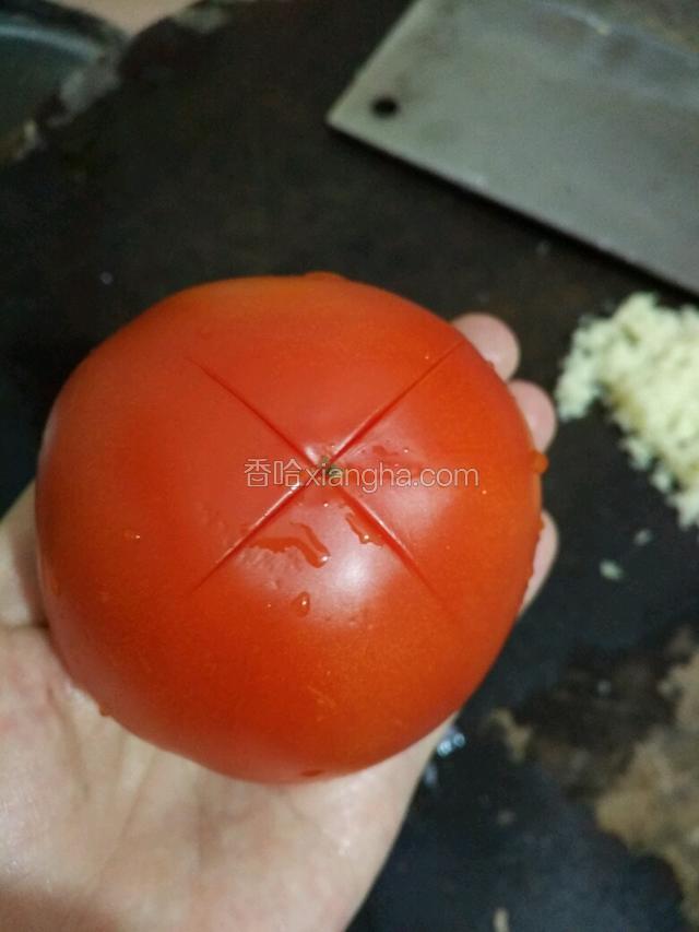 番茄用刀轻轻的划出十字
