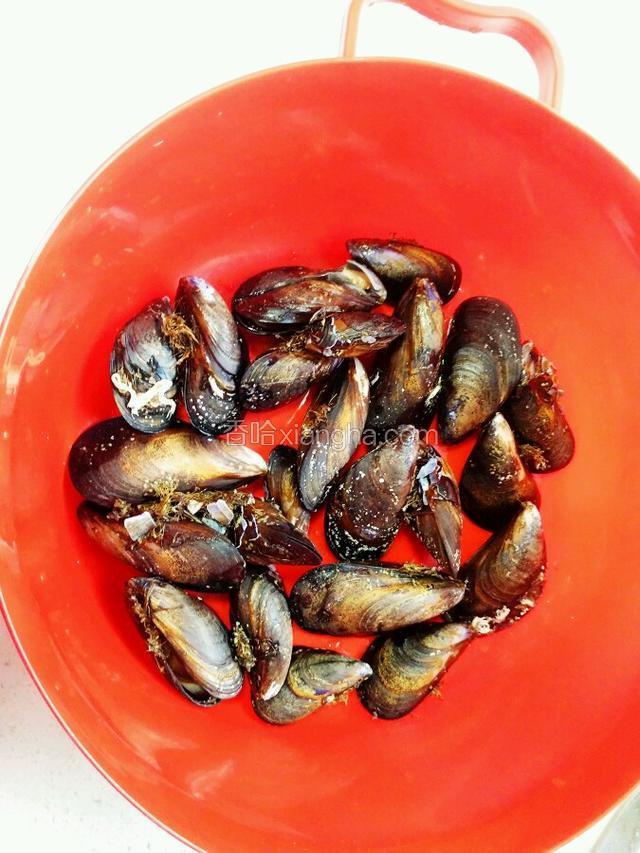 首先把海红洗净