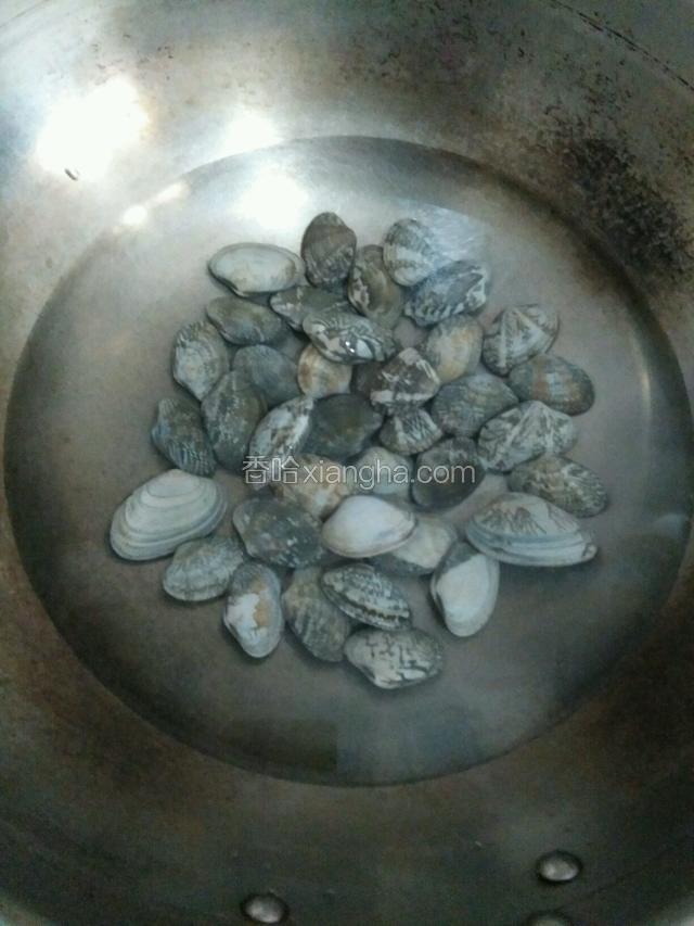 把蛤蜊倒入开水。