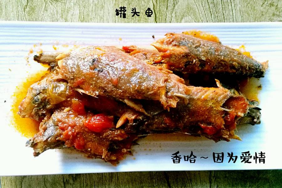 鱼罐头