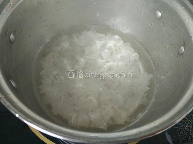 三十分钟以后，银耳的汤是雪白的。