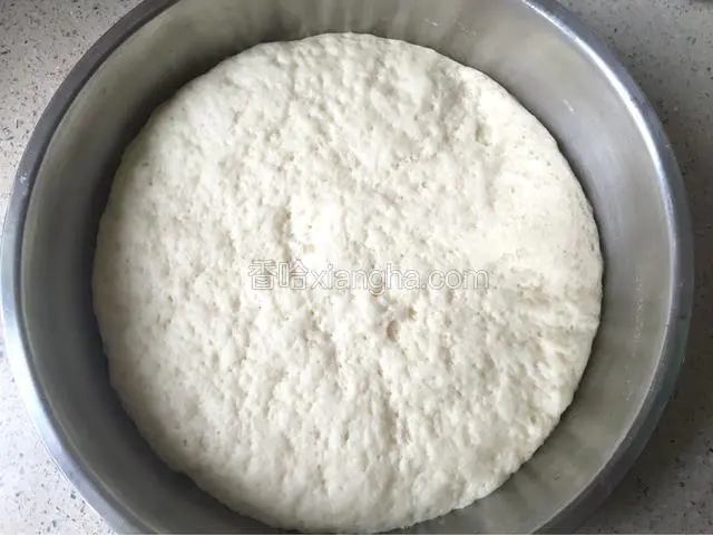 面团已经发酵好了。
