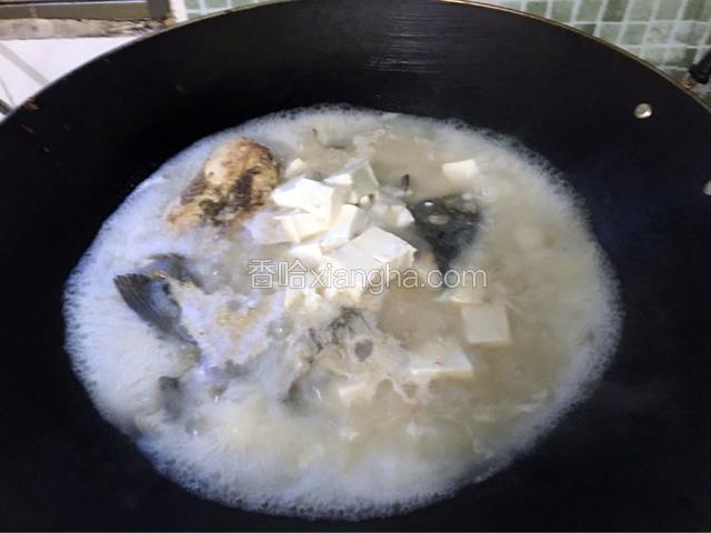 待煮出白白的汤后放入豆腐