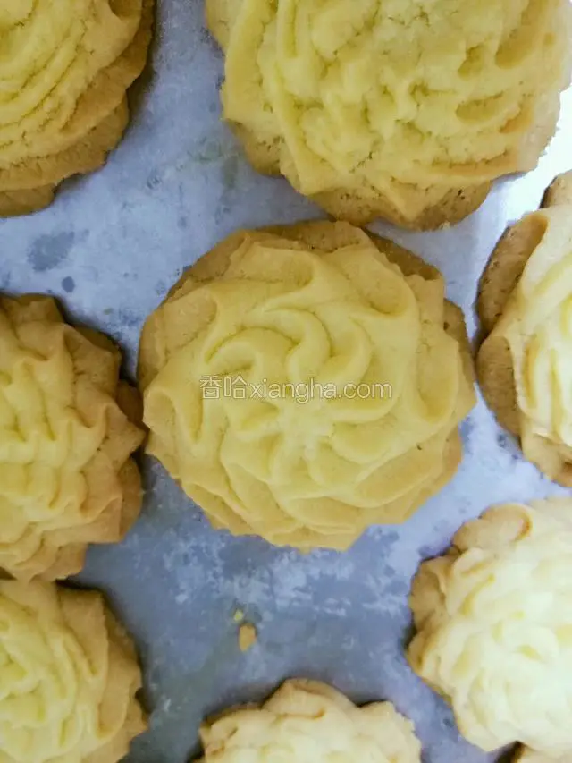 新的花色，同一个裱花嘴