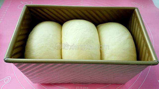 再次发酵至土司盒的八、九分满。