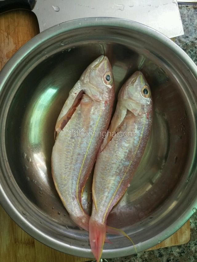 鱼去内脏腮洗净，抹上盐，料酒腌制15分钟；