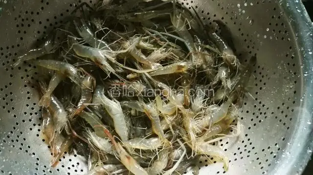 河虾