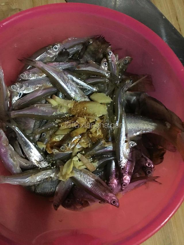 去鱼鳞和肚子，洗干净 ，加入盐 白糖 鸡精 料酒 姜 腌制15分钟