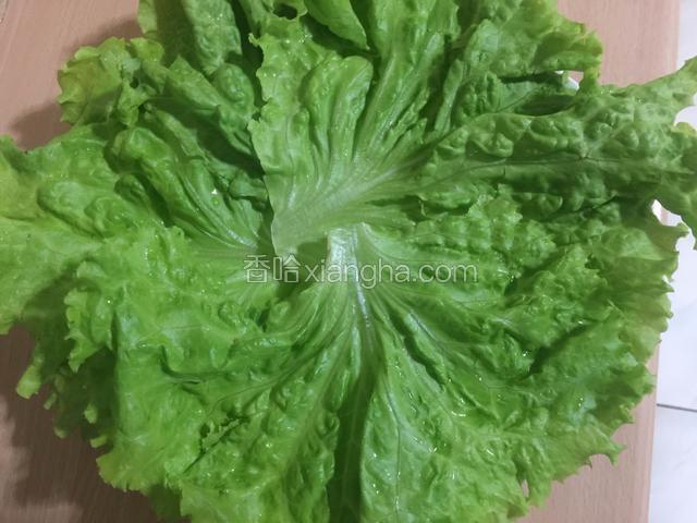 盘子上铺一层叶生菜。