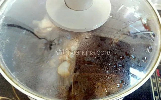 盖上锅盖，中小火炖煮，二十分钟