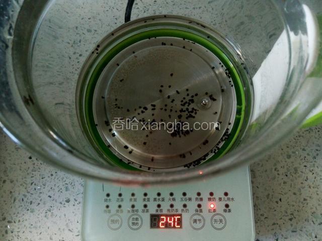 加入清水按红茶键开始工作。