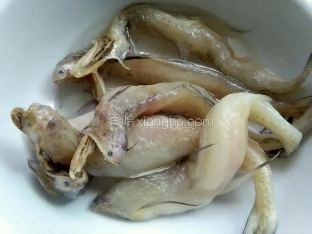 把龙头鱼解冻洗干净