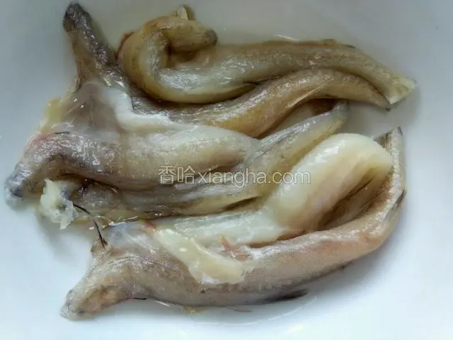 把龙头鱼的内脏、头都去除