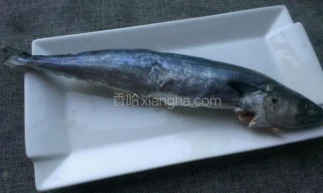 鲅鱼去内脏洗净切成１厘米厚的段，鲅鱼收拾干净后放冰箱冷冻一段时间再切，不冷冻一下，鱼身太软不好切。