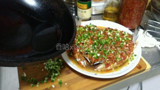 淋在鱼上