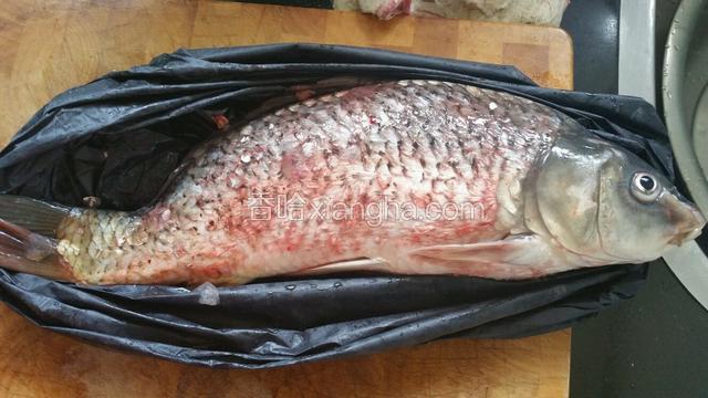 鱼杀好，去鱼鳞