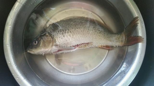 洗净沥干，背上划几刀