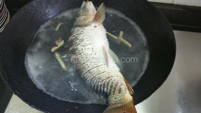 放鱼煮8~10分钟，我买的鱼有点大，如果买的鱼小时间缩短，太熟了鱼肉会糊掉