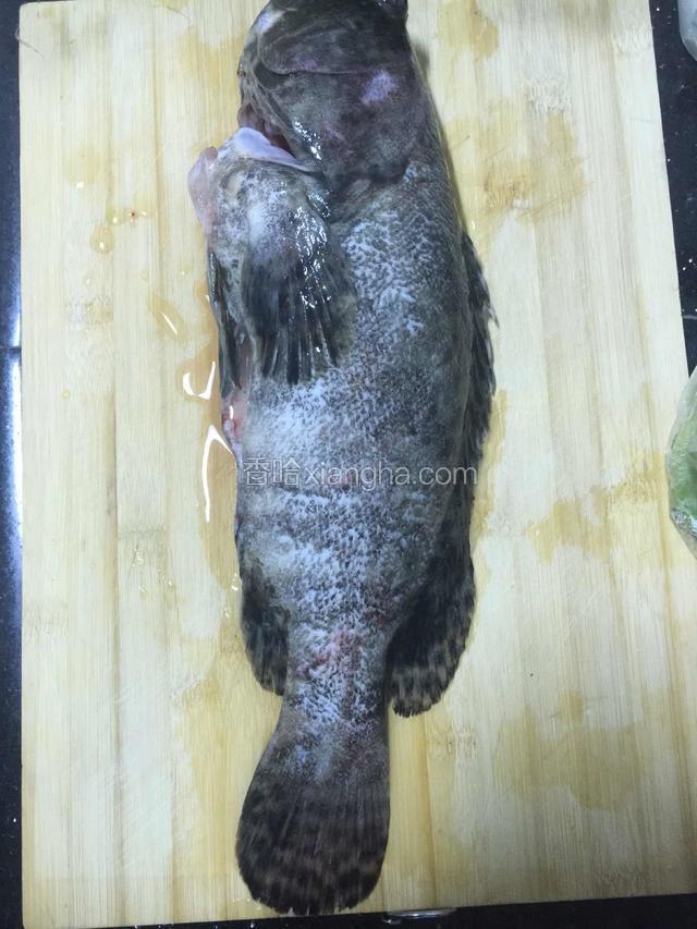 将石斑鱼宰杀后，去鳃，磷片，内脏