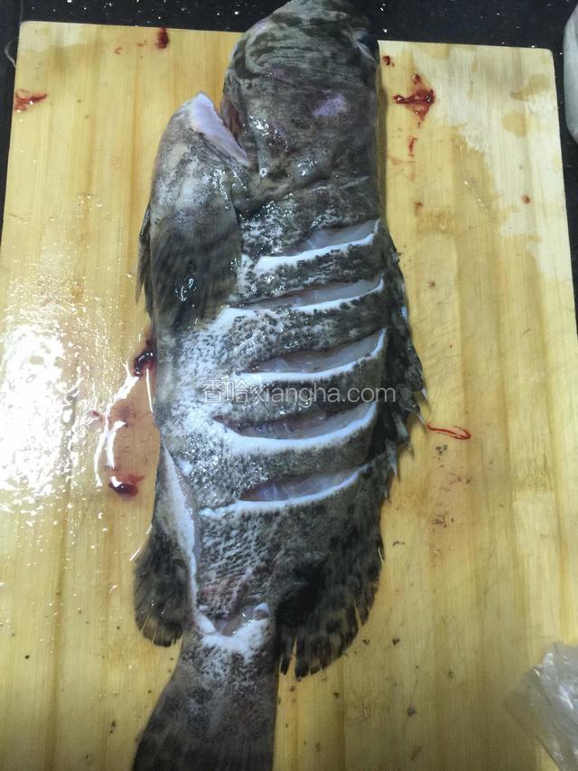 在鱼身上剞刀至骨