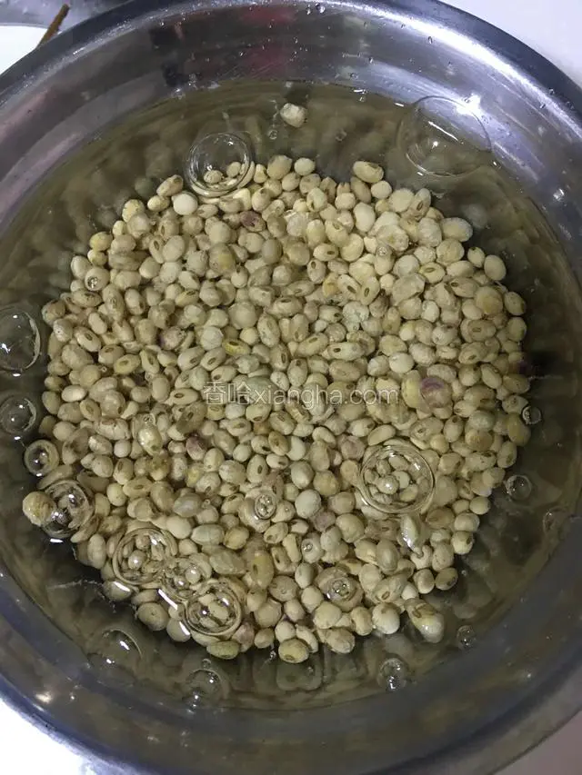 黄豆提前一晚泡发