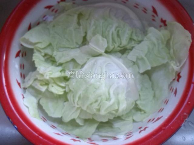 卷心菜洗净用盐水泡5分钟