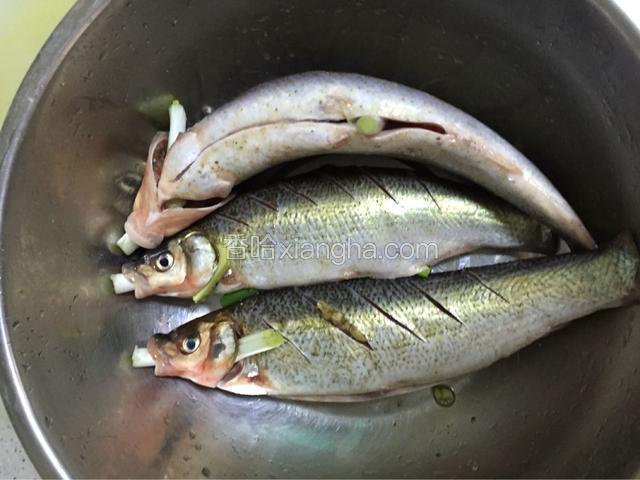 鱼加料酒加姜片，葱段，盐，花椒粉腌制十分钟左右