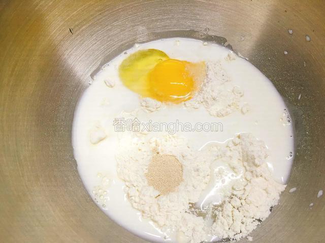 把面包胚除了黄油以外的材料放入厨师机内，和面档搅拌15分钟。
