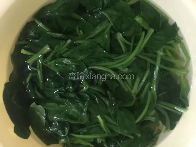 捞出后的菠菜用凉水浸泡过凉后沥干水分备用。