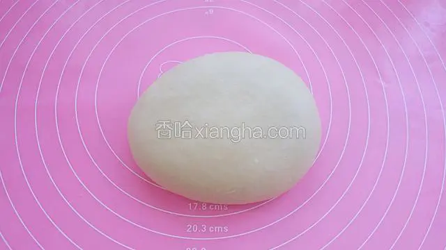 把面团揉匀后醒发20分钟。