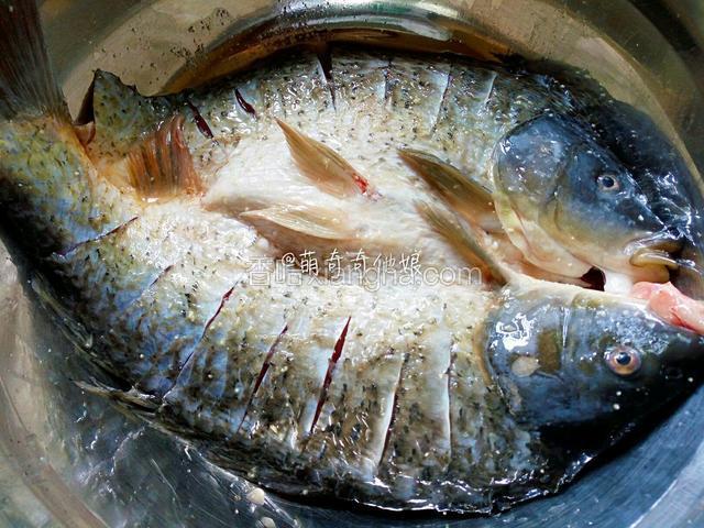 鲤鱼刮掉鱼鳞，从背部对半剖开腹部相连，清理鱼鳃鱼肠内部黑膜等，冲洗干净后擦干水分，在鱼的正反面都抹一点盐和鸡精。


盖保鲜膜入冰箱腌制1-2小时。