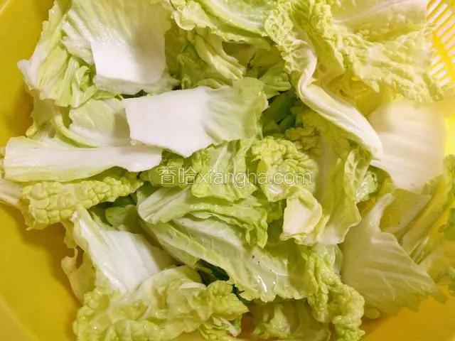 大白菜洗干净备用