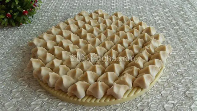 黄萝卜猪肉饺子