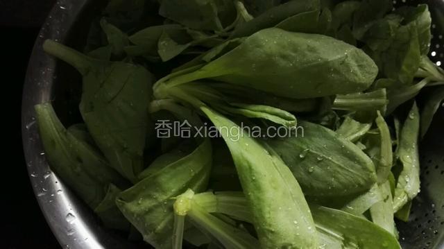 食材;好菜