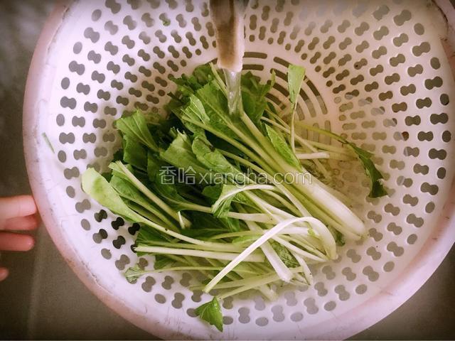 小白菜清除杂物，用清水冲洗干净