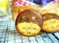 龙猫饼干
