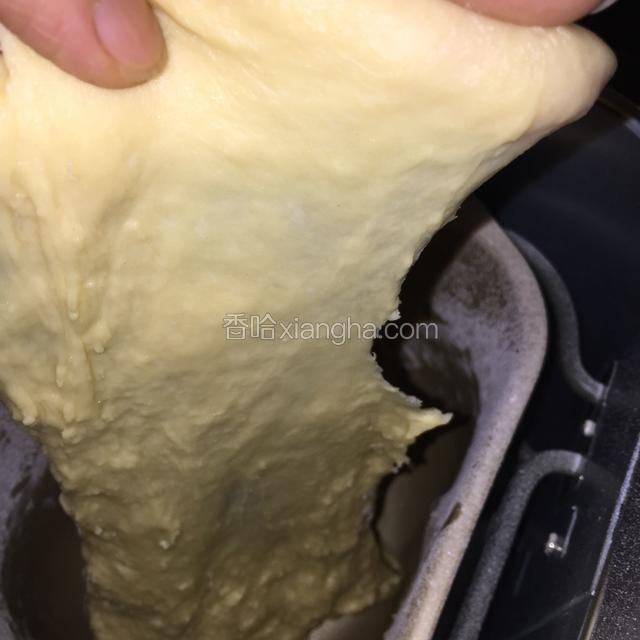 拉扯面团有薄膜，放入面包桶里进行发酵，发酵至两倍大