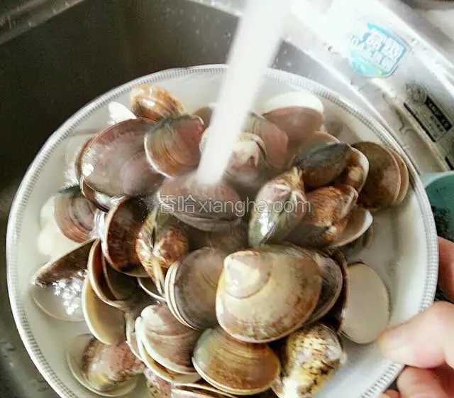 将花蛤用清水再次冲洗干净