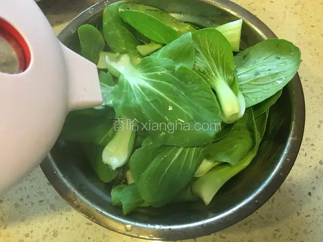 青菜清洗干净后，用开水烫一下，过凉水沥干水分。