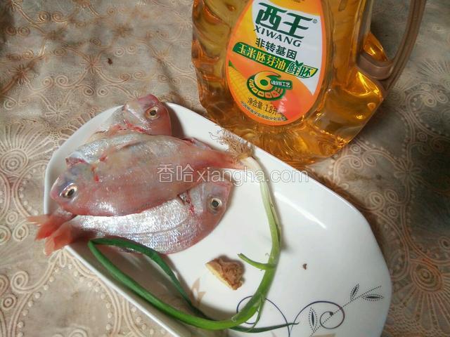准备材料（西王玉米胚芽油，红立鱼，葱，姜）