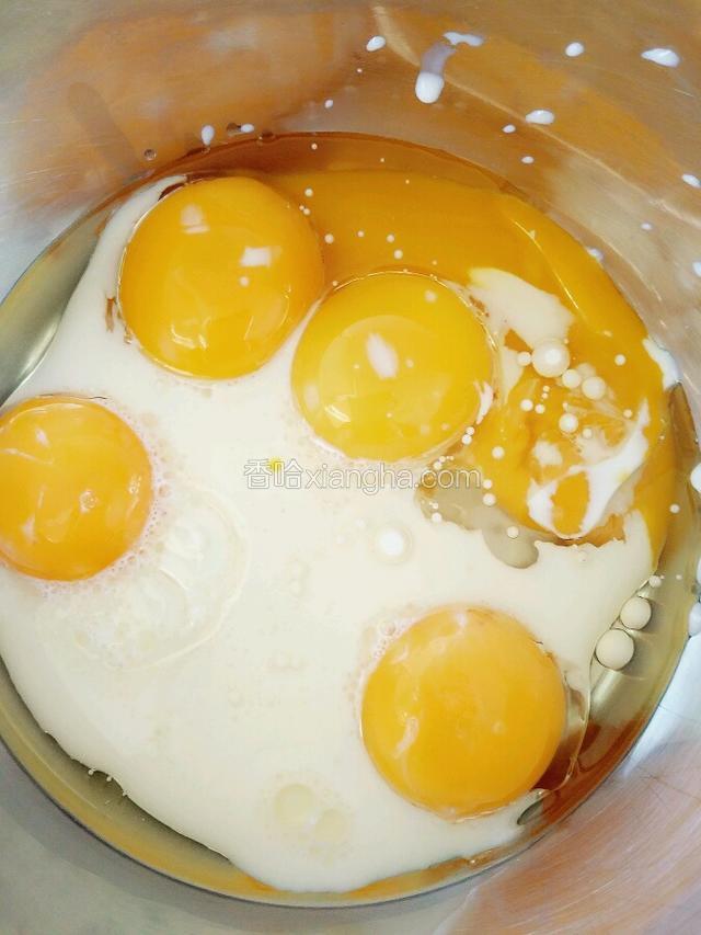 蛋黄里倒入玉米油和纯牛奶，用手动打蛋器搅打均匀，使之乳化。